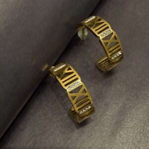 Çelik Taş Detay Halka Küpe -GOLD