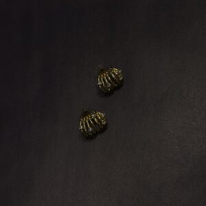 Çelik Taş Detay Küpe -GOLD