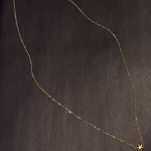 Çelik Küçük Kar Tanesi Kolye -GOLD